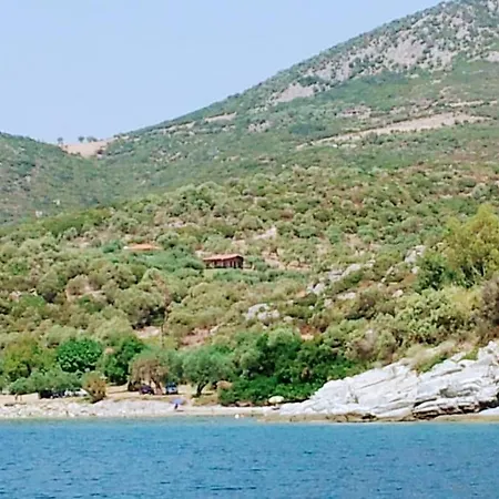 Olive By The Sea Holiday home